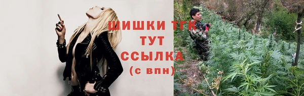 ПСИЛОЦИБИНОВЫЕ ГРИБЫ Осташков