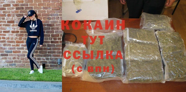 ПСИЛОЦИБИНОВЫЕ ГРИБЫ Осташков