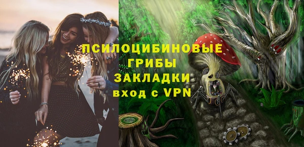 мдпв Няндома