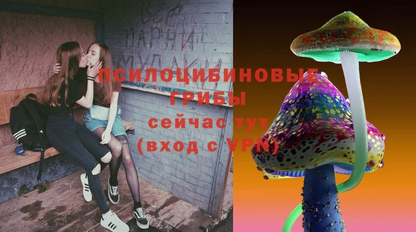 ПСИЛОЦИБИНОВЫЕ ГРИБЫ Осташков