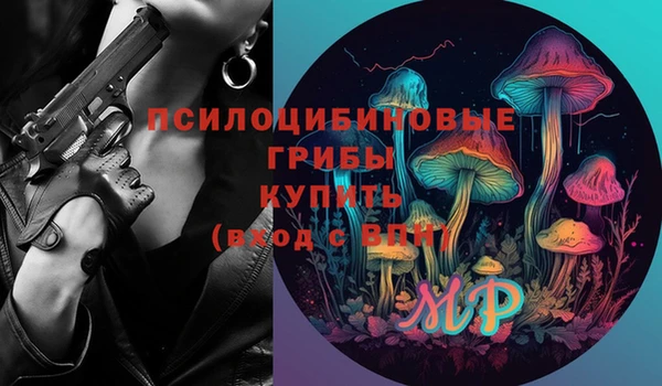 ПСИЛОЦИБИНОВЫЕ ГРИБЫ Осташков
