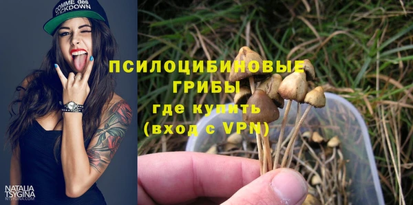 эйфоретик Осинники