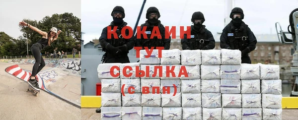 мдпв Няндома
