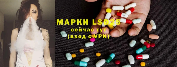 ПСИЛОЦИБИНОВЫЕ ГРИБЫ Осташков