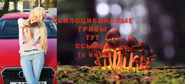 ПСИЛОЦИБИНОВЫЕ ГРИБЫ Осташков