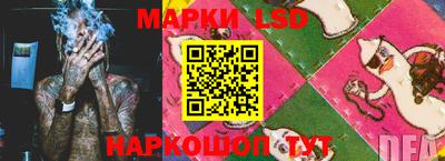 стаф Аргун