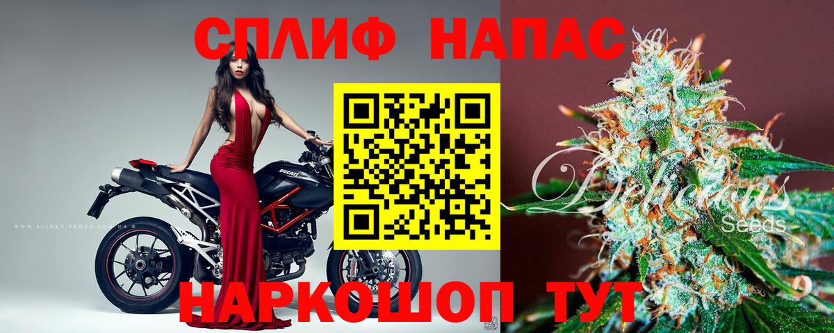 Бошки Шишки сатива Владимир